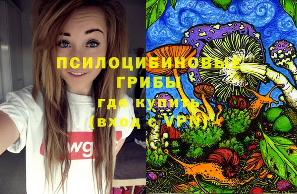 ешки Аркадак