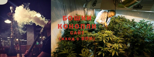 ешки Аркадак