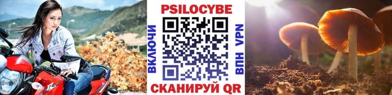 Псилоцибиновые грибы Cubensis  купить наркоту  Советская Гавань 